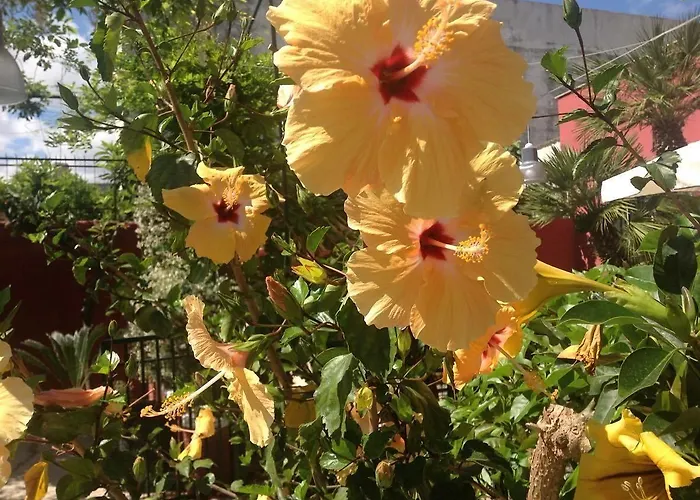 Dimora Benedetta 2 0 * Μπάρι