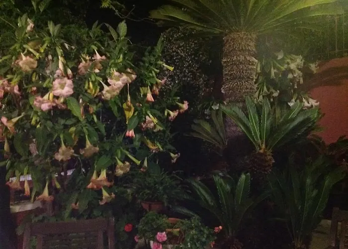 Dimora Benedetta 2 0 Σπίτι διακοπών *