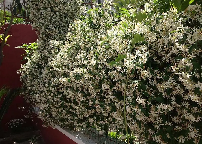 Dimora Benedetta 2 0 Vakantiehuis Bari