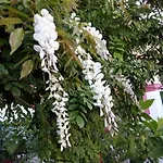 Dimora Benedetta 2 0 *