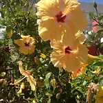 Dimora Benedetta 2 0 * Бари