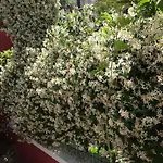 Dimora Benedetta 2 0 Дом отдыха Бари