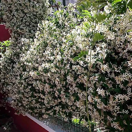 度假居 Dimora Benedetta 2 0 *