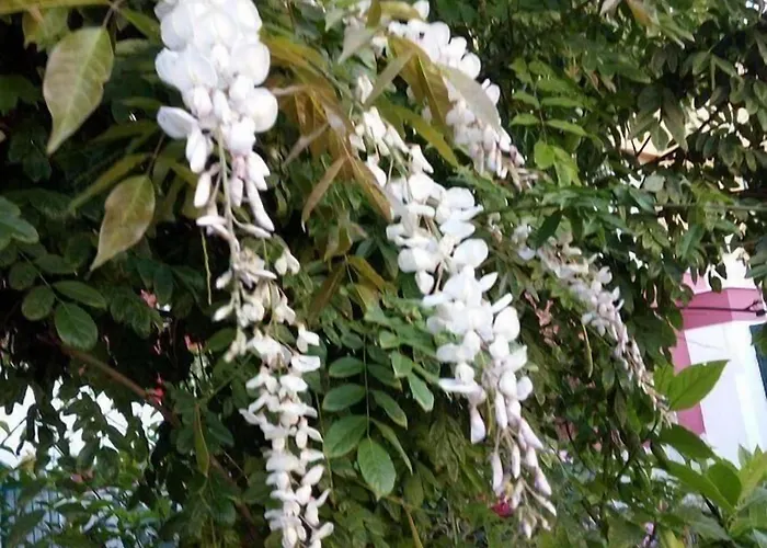 Dimora Benedetta 2 0 *